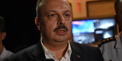 Aydın'da ormanda çıkan yangına müdahale ediliyor