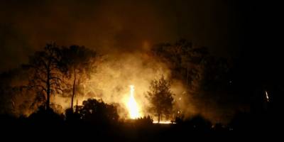  Muğla'nın Yatağan ve Ula ilçelerinde çıkan yangınlara müdahale ediliyor