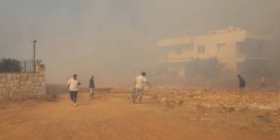 Aydın Didim'de makilik alanda çıkan yangınla ilgili 3 kişi tutuklandı