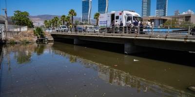 İzmir Körfezi’ndeki balık ölümlerini "yılların kirlilik birikimi" tetikledi