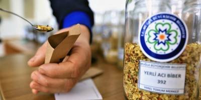 Büyükşehir, yerel tohumların dağıtımına başladı