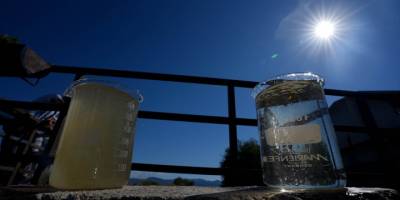 İzmir Körfezi Bilim Kurulu, körfezde ve karada incelemelerde bulundu