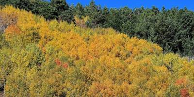 Sarıkamış, sonbahar renklerine büründü
