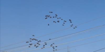 Gazze'ye havadan indirilen yardım kutusunun çadırın üzerine düşmesiyle 1 çocuk öldü