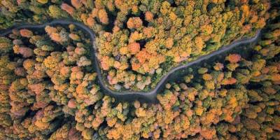 Bursa'nın İnegöl ilçesinin yüksek kesimleri sonbahar renklerine büründü