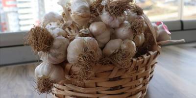 Türkiye'nin AB'de tescilli coğrafi işareti 7'ye çıktı