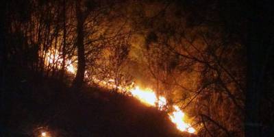 Orman yangınları erken başladı