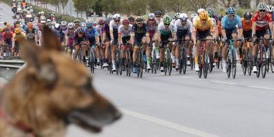 56. Cumhurbaşkanlığı Türkiye Bisiklet Turu'nun Bodrum-Kuşadası etabı başladı