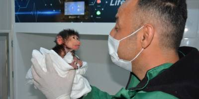 Annelerince reddedilen sevimli yavrular koruma altına alındı