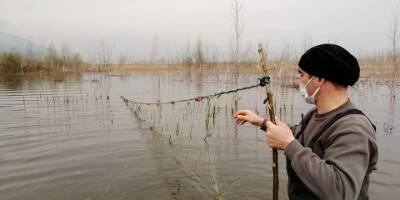Efteni Gölü'nde 800 metre ağ yakalandı