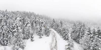 Artvin'de 47 köy yolunu ulaşıma açma çalışmaları sürüyor