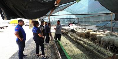 Menderes'te kurban denetimi