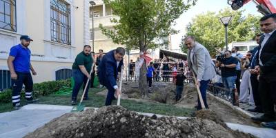 Asırlık çınar yenilendi!