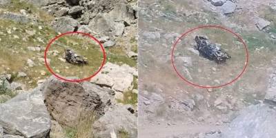 Bilirkişi heyetinin aracı şarampole yuvarlandı: Çok sayıda ölü var