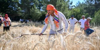 Bornova’da ilk hasat Başkan Eşki’den