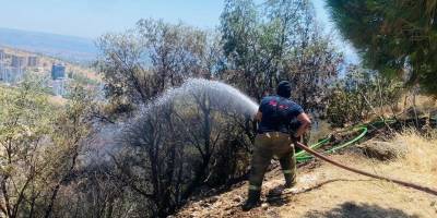 Büyükşehir'den yangın raporu: 2 günde 227 müdahale!