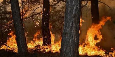 2 günde çıkan 111 yangından 106'sı kontrol altına alındı