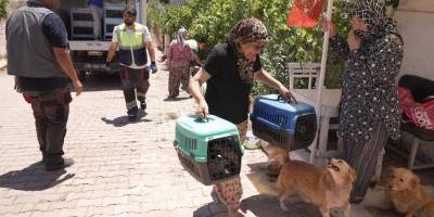 Yangından kurtarılan can dostlarına kavuştu!