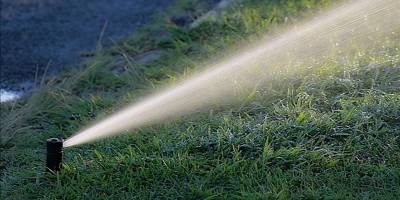 Su krizi parkları vurdu: Belediyeden ‘asgari sulama’ kararı!