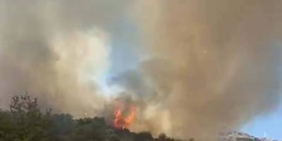 Muğla'da tarım arazisinde yangın