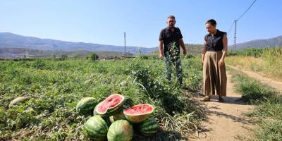 Başkan Sengel'den üreticiye yardım eli!