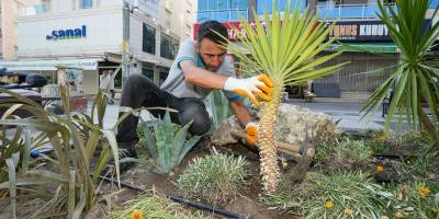 Gaziemir’de kuraklığa karşı yeşil dönüşüm