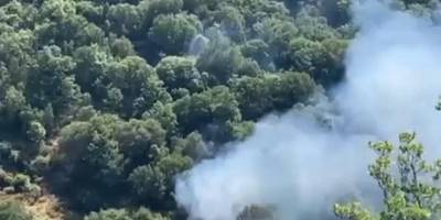 Nazilli'de orman yangını 2 saatte kontrol altına alındı