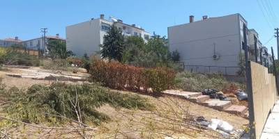 Park ve yeşil alana ticari faaliyet girişimi izni verilmiş: Ağaçlara ihanet