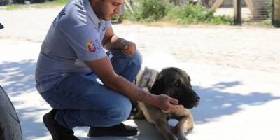 Selçuk’ta “Satın Alma Sahiplen” çağrısı!