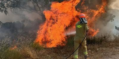 İçimiz yandı: 10 orman işçisi şehit!