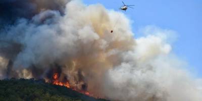 Eskişehir'deki orman yangınına soruşturma başlatıldı