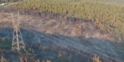 Manisa'daki yangın 2'nci gününde