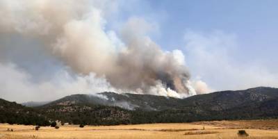 Eskişehir'de başladı, Afyon'a sıçradı... Kabus üçüncü gününde!