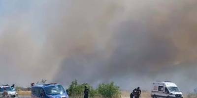 Muğla'da tarım arazisinde yangın