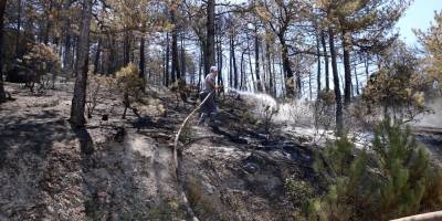 Eskişehir'de başlayıp, Afyonkarahisar'a sıçramıştı: Yangın kontrol altında
