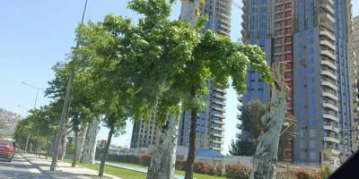 İzmir’in Kalbindeki Dev Proje: Trafik Sorununa Yeni Bir Yük mü?