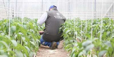 Aydın Büyükşehir’den tarım ve üreticilere destek!