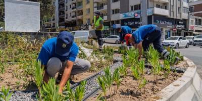 İzmir'de kuraklığa yeşil formül!