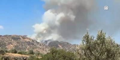 Aydın'da orman yangını!