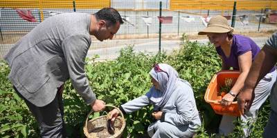 Bornova'ya yeni kent bostanı geliyor!