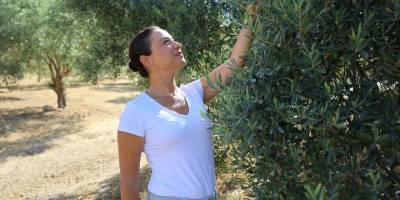 Başkan Sengel'den 'zeytin yasası' tepkisi