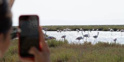 Flamingo Yolu turları başladı