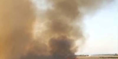 Bataklık alev alev!