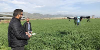 Aydın'da tarım arazileri drone ile ilaçlanabilecek