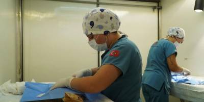 Büyükşehir'den kısırlaştırma seferberliği