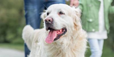 Can dost cinayetine tutuklama!