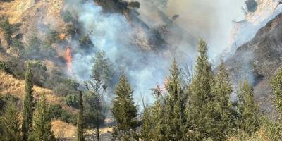 Aydın'da yangın paniği!