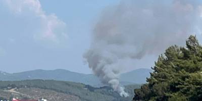 Bodrum'da orman yangını