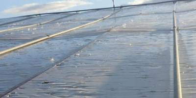 İzmir’deki dolu yağışı seraları deldi geçti