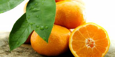 Mandalinada ihracat hedefi 500 milyon dolar, satsuma mandalinada 125 milyon dolar